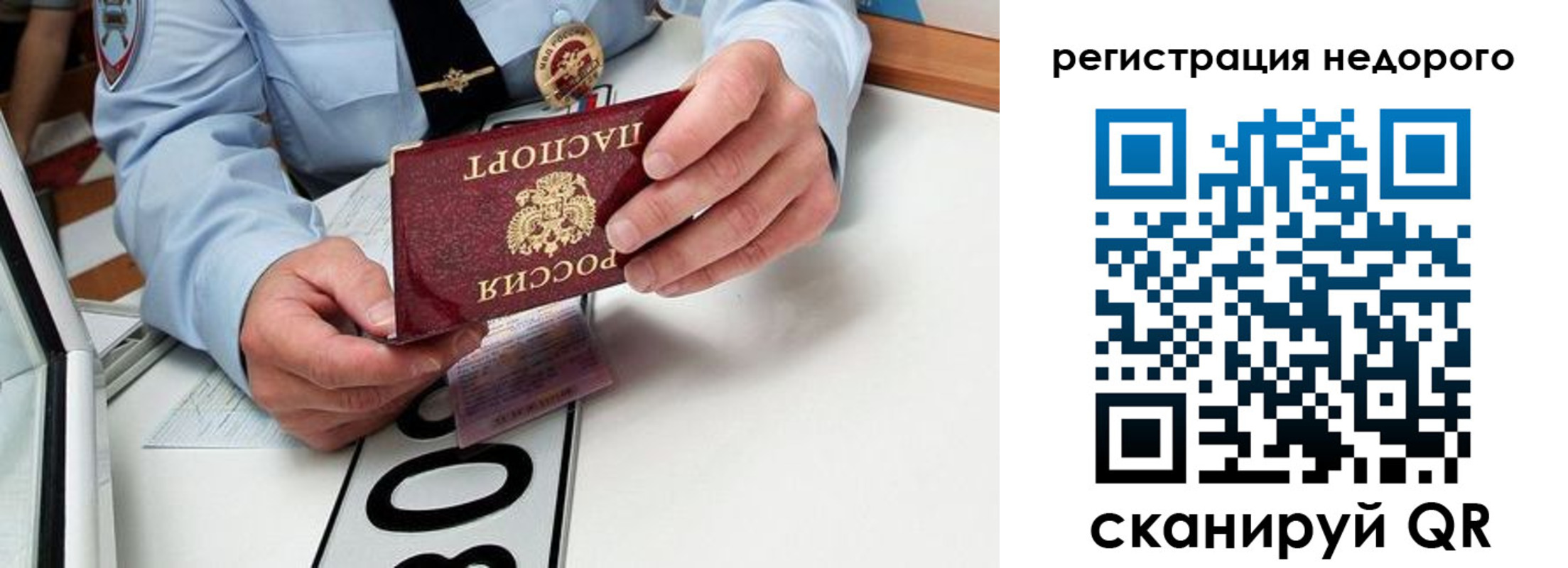прописка ребенка в Звенигово